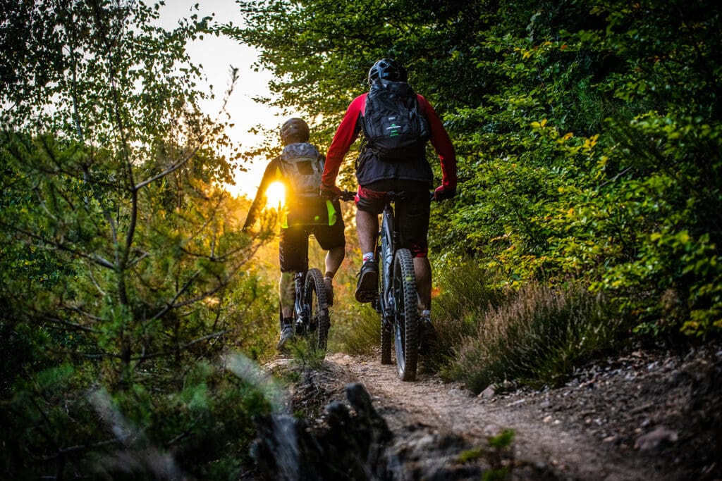 Mountainbiker im Pfälzerwald