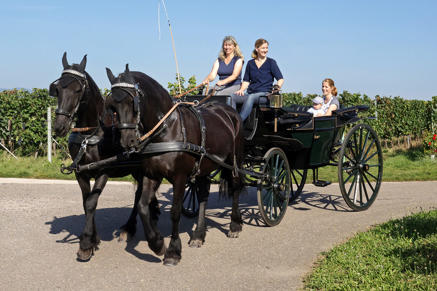 Suse Hörner bei der Fahrt mit dem "Landauer"