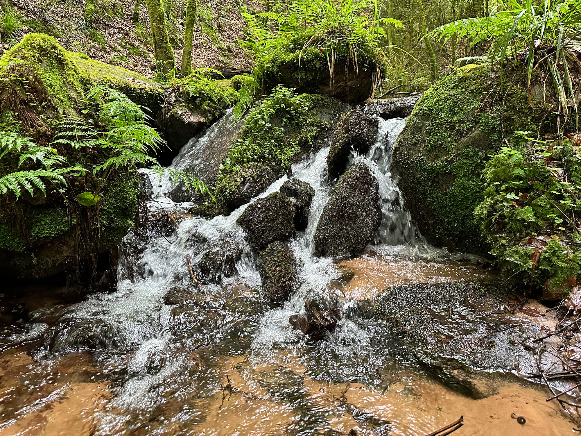 Eiderbachtal