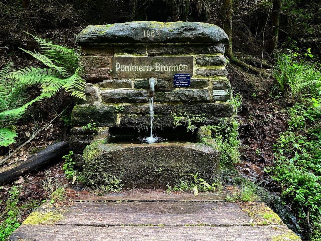 Brunnen im Wald