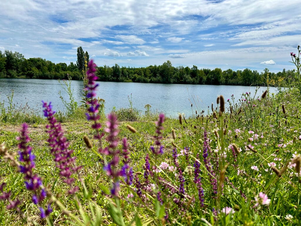 Silbersee