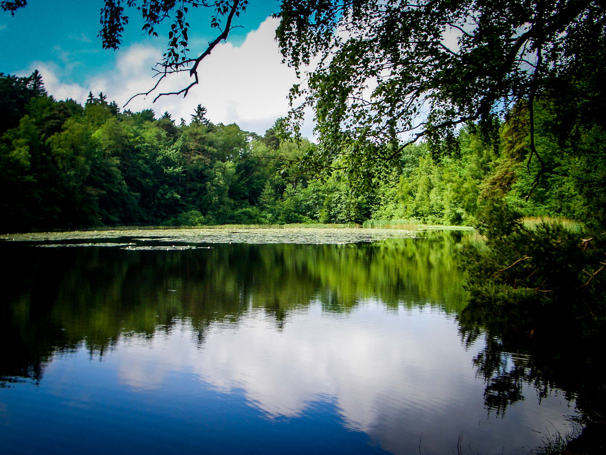 Retzbergweiher