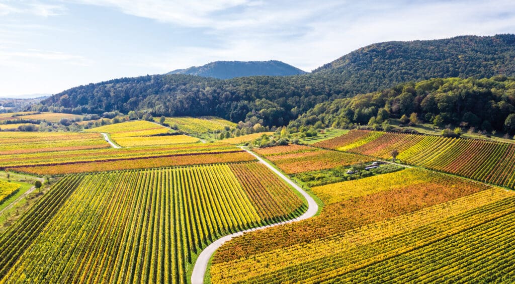 Herbstlandschaft