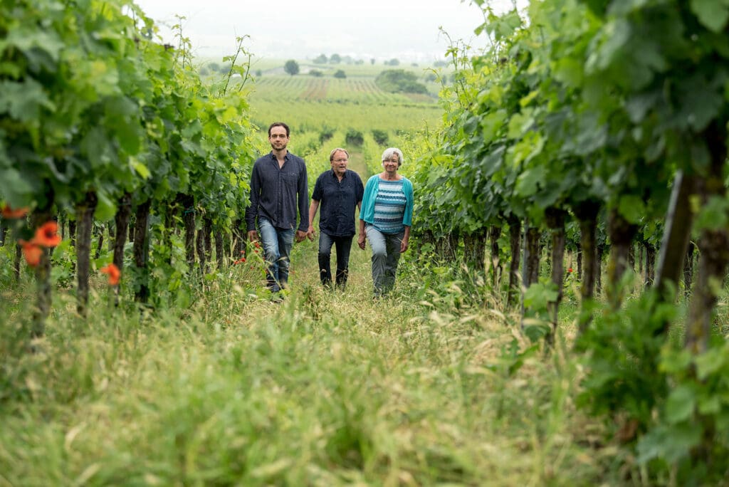 Weingut Winfried Seeber