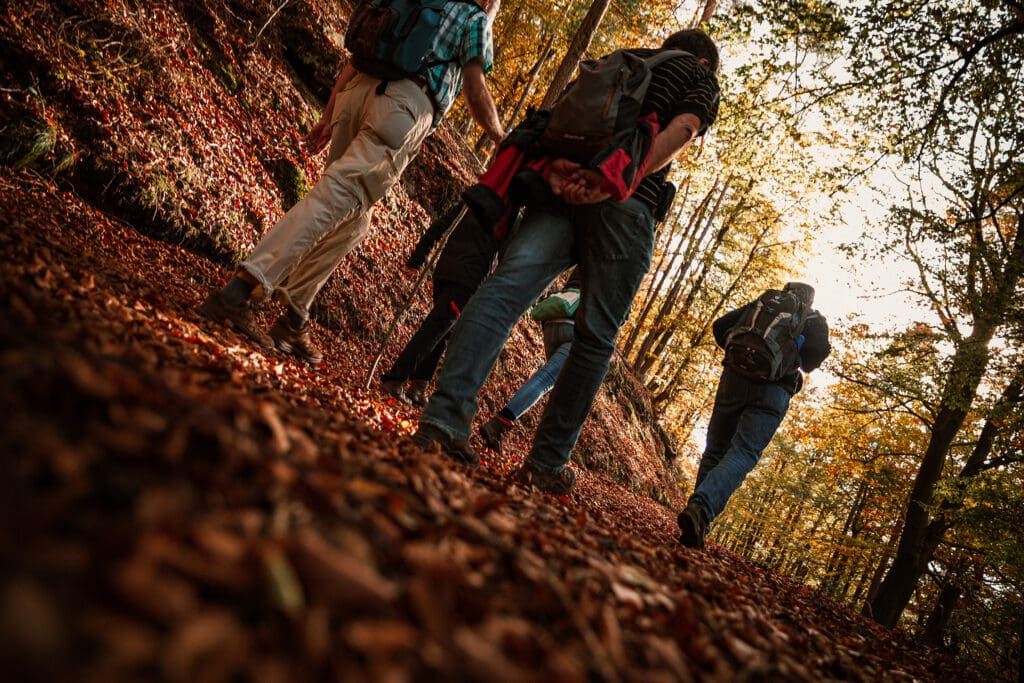 Menschen wandern im Wald